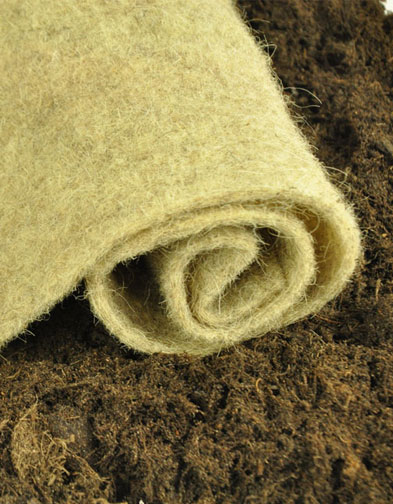Mulchmatte als Pflanzenschutz