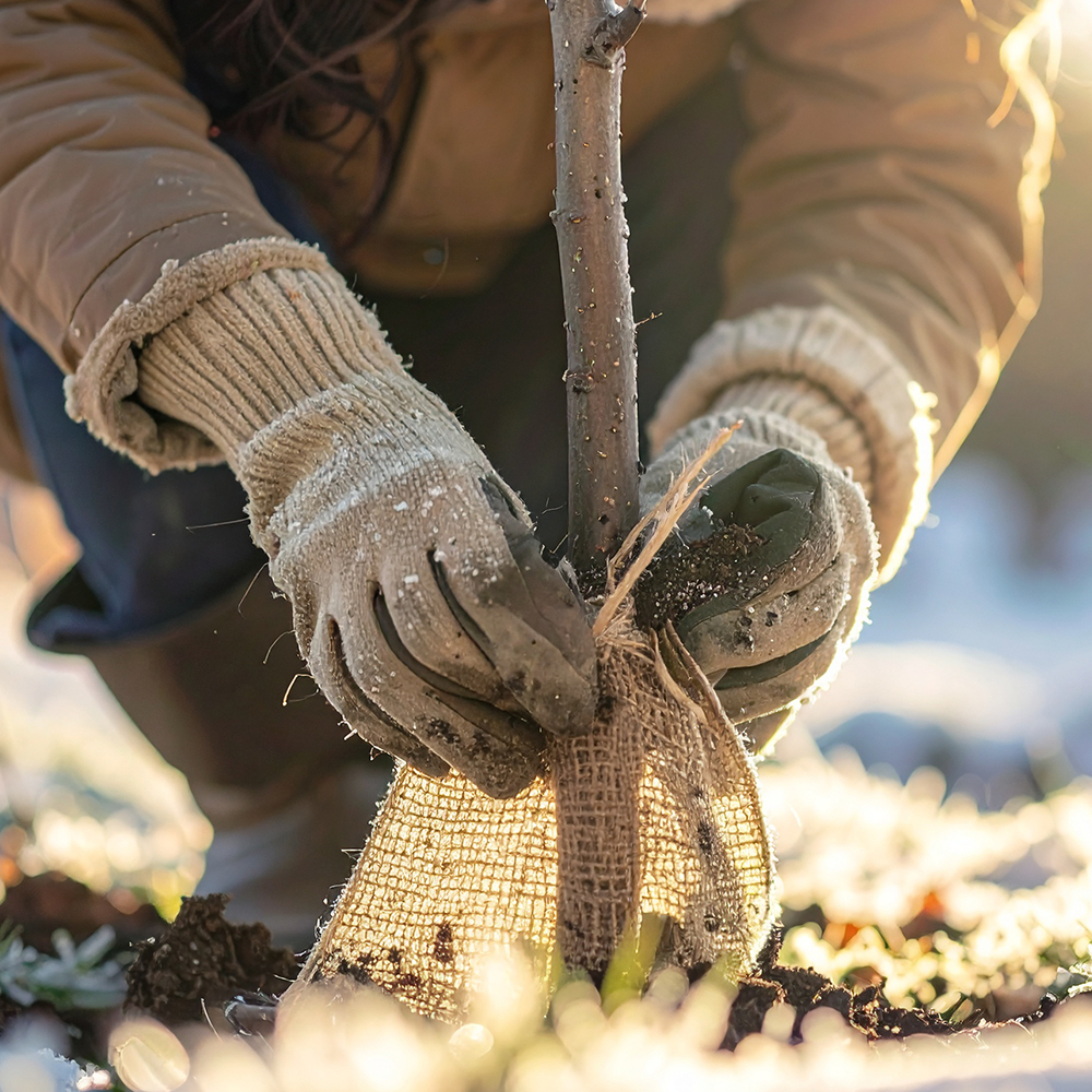 Atmungsaktiver Frostschutz im Winter