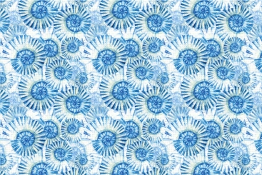 Outdoorstoff - Meeresschnecke 