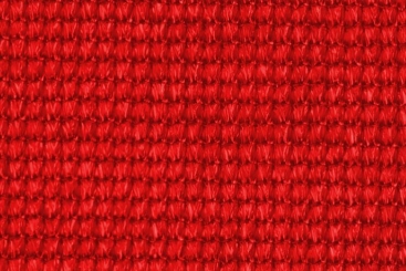 Rot