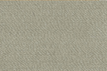 Schilf