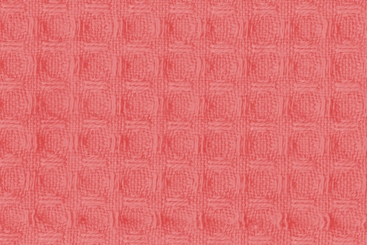 Koralle