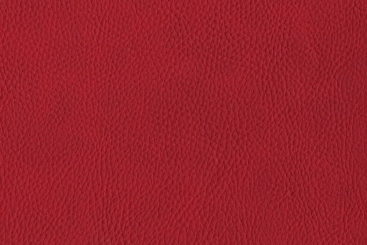 Rot