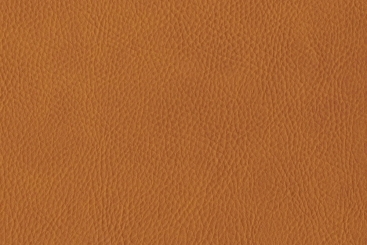 Terra
