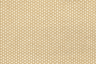 Creme/Champagner