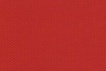 Rot
