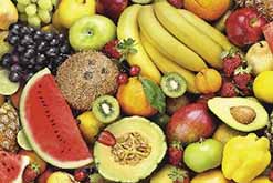 Wachstuchstoff - Fruit Fiesta 