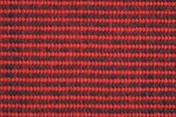 Tweed Rot