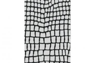 Silber/Schwarz