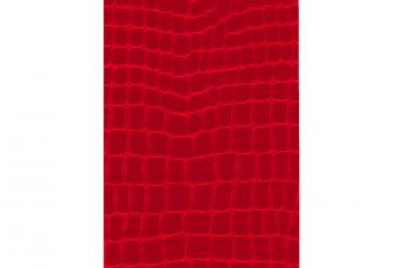 Rot