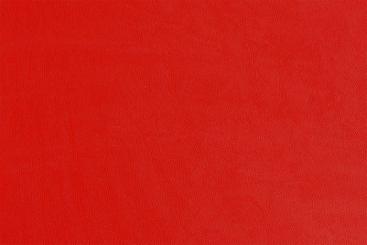 Rot