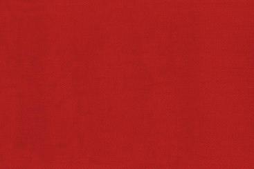 Rot