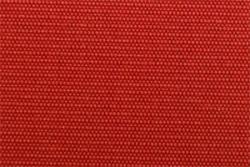 Rot