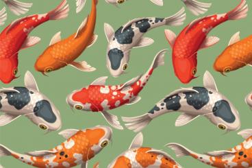 Outdoorstoff - Koi-Karpfen Mint