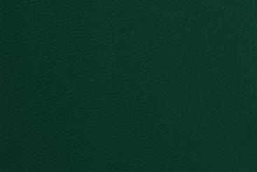 Kunstleder - Deluxe Tanne