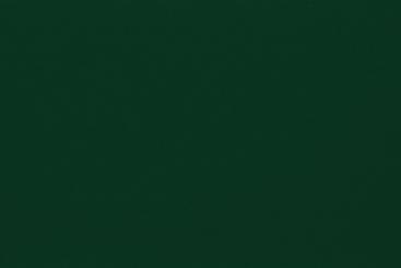 Outdoor-Lederimitat Premium Dunkelgrün