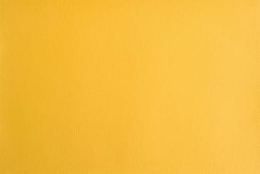 Nappaleder Imitat - Saniproofed Beige