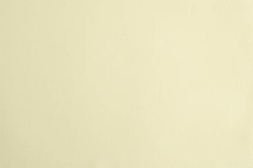 Nappaleder Imitat - Saniproofed Champagner 2