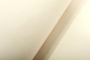 Segeltuch - permanent schwer entflammbar - 410 cm Creme