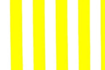 Segeltuch gestreift 2,5 cm - 150 cm Gelb-Weiß