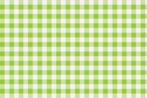 Outdoor Stoff - Teflon - Vichy Karo Weiß/Hellgrün