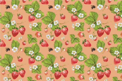 Outdoorstoff - Erdbeeren Apricot