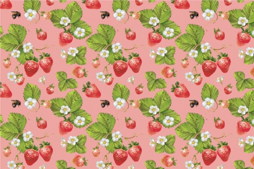 Outdoorstoff - Erdbeeren Rosa