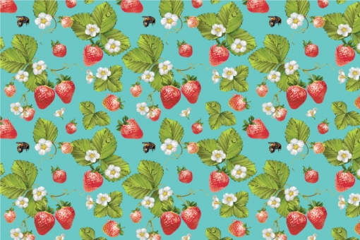 Outdoorstoff - Erdbeeren Türkis