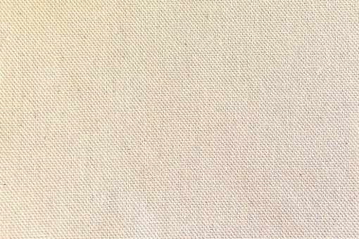 Canvas-Baumwollstoff - 280 cm breit Ungefärbt