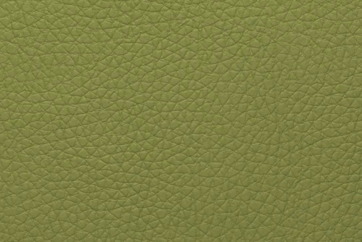 Boots-Kunstleder Ocean - IMO Pistazie