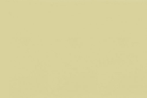 PVC-Folie 400 g - glänzend - 218 cm Beige