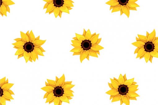 Planengewebe leicht - Sonnenblumen 