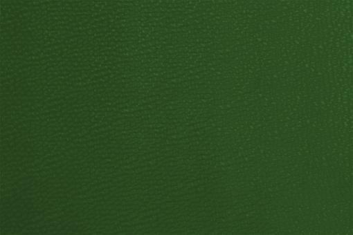 Kunstleder - Deluxe Grün