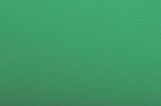 Baumwollstoff 280 cm breit Green Screen
