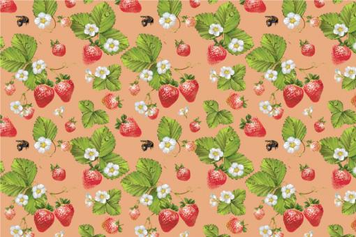 Outdoorstoff - Erdbeeren Apricot