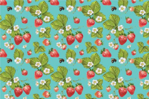 Outdoorstoff - Erdbeeren Türkis