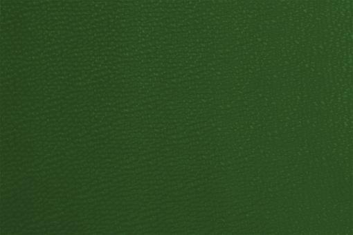 Kunstleder - Deluxe Grün
