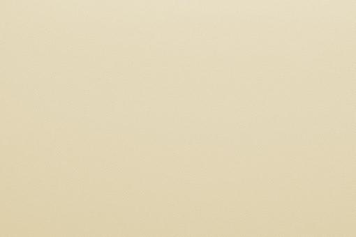 Polyester-Stoff - reißfest und wasserabweisend - 150 cm Champagner