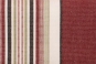 morepic-1