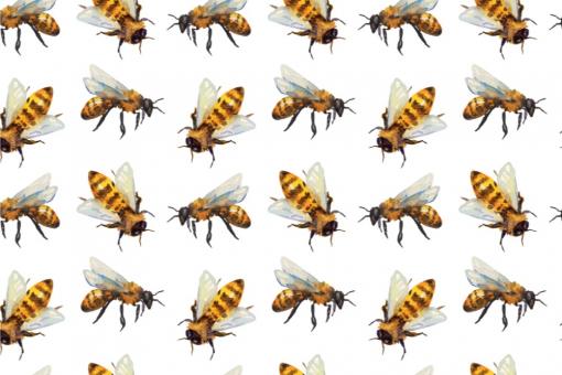 Planengewebe leicht- Bienenschwarm 