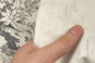 morepic-3